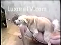 A curious young wife discovers what beastiality is like.